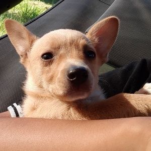 Meet your Posher, Tyty